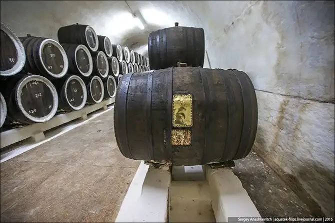 Экскурсия по винзаводу Массандра