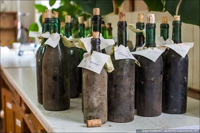 Экскурсия по винзаводу Массандра