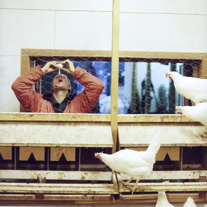 Товары, сделанные заключенными в разных странах