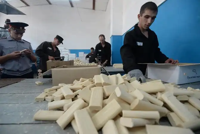 Товары, сделанные заключенными в разных странах