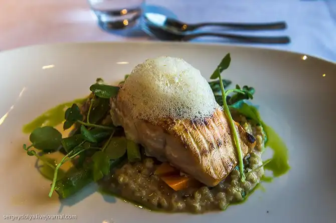 Как устроен самый современный паром на Балтике