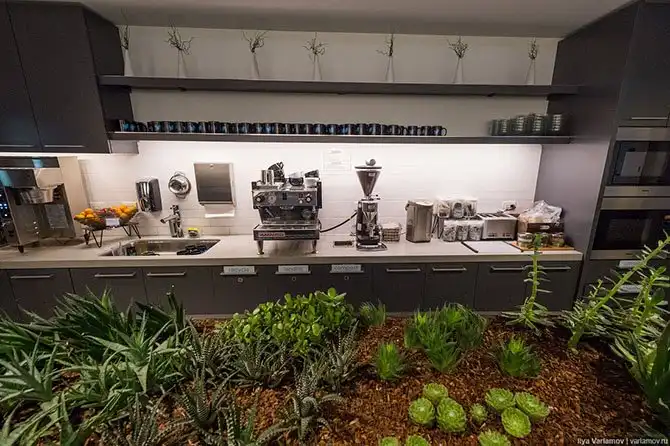 Прогулка по офису