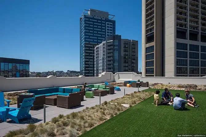 Прогулка по офису