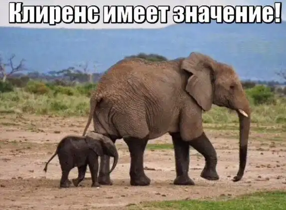 Очередная подборка автоприколов