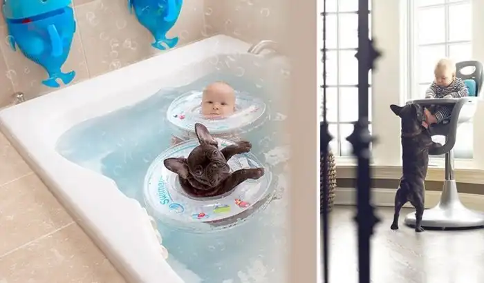 Крепкая дружба пятимесячных малышей