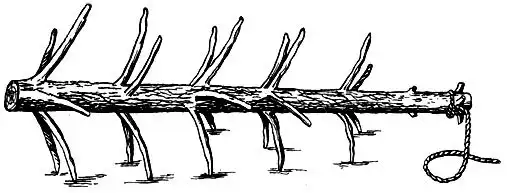 Русская свобода