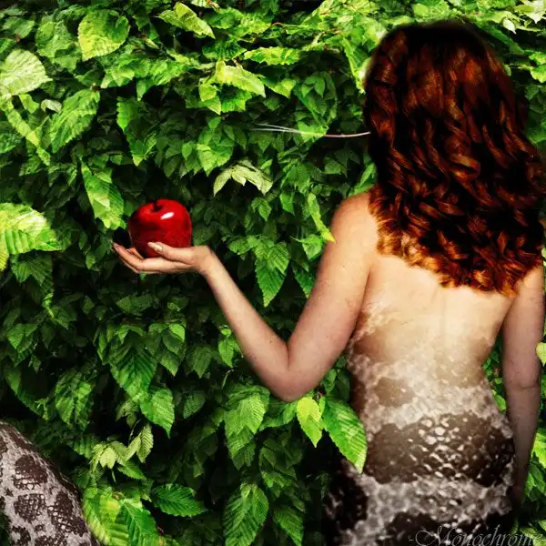 Женская натура