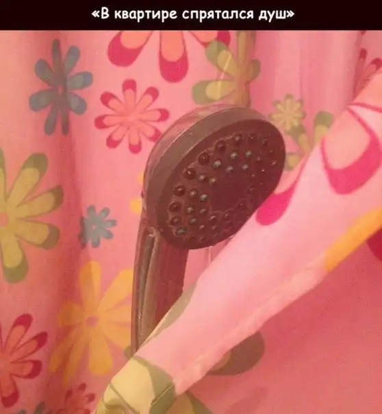 «Сплин» в картинках