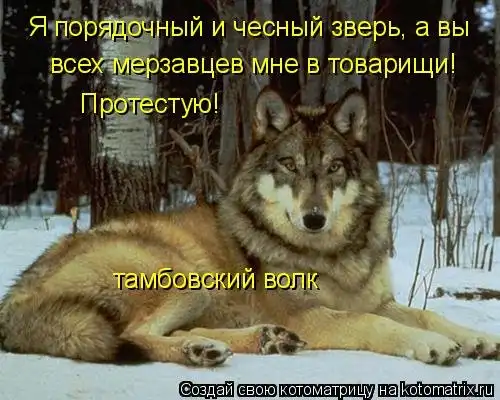 Сколько волка не корми.... :)
