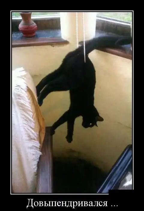 Демотиваторы (15.09.15)