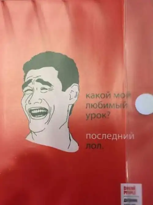 Интернет-мемы добрались до школьных дневников
