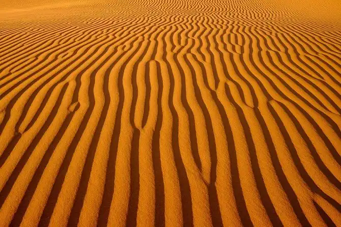 Удивительный фотоконкурс National Geographic 2015 начался