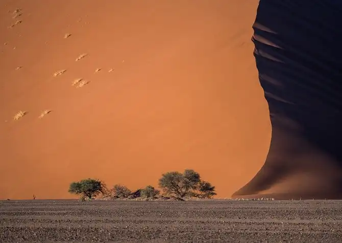 Удивительный фотоконкурс National Geographic 2015 начался