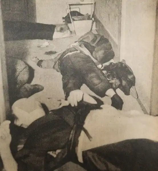 Преступление Садиши Хирасавы