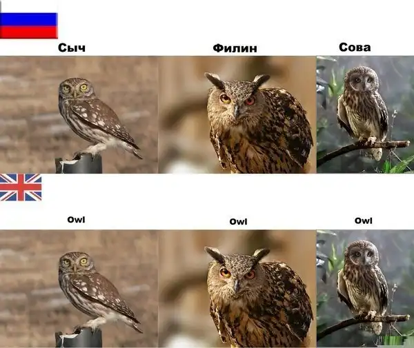 Разнообразная подборка =) Хорошего настроения!