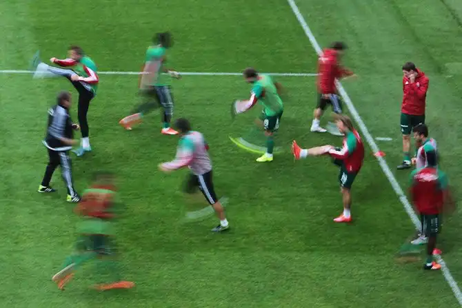 Как устроен современный стадион с точки зрения стюарда