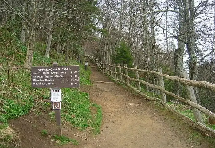 Путешествие по Аппалачской тропе: до и после