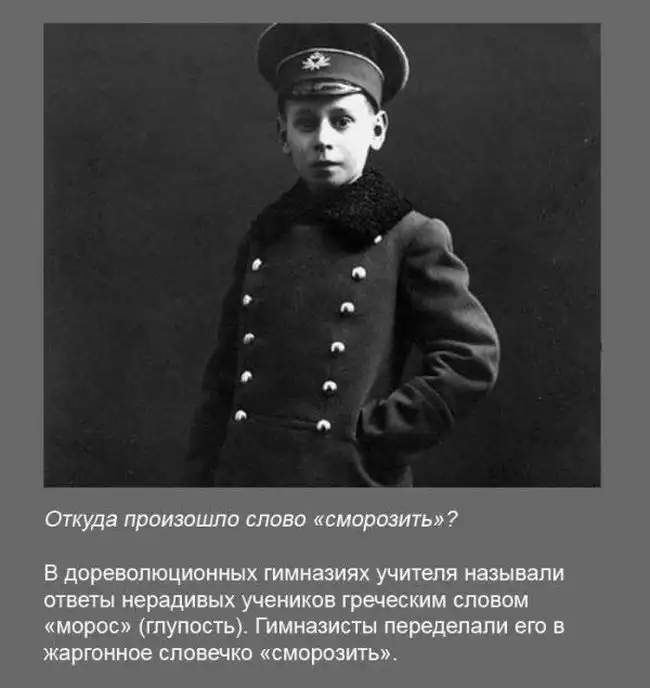 Факты в картинках