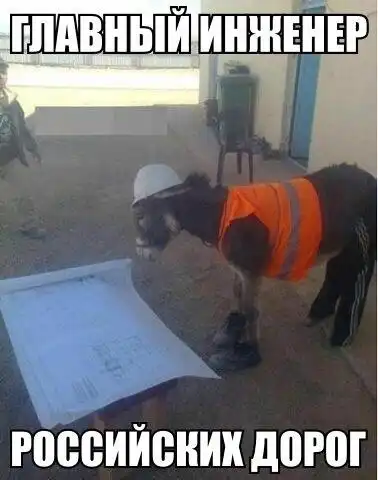 Очередная подборка автоприколов