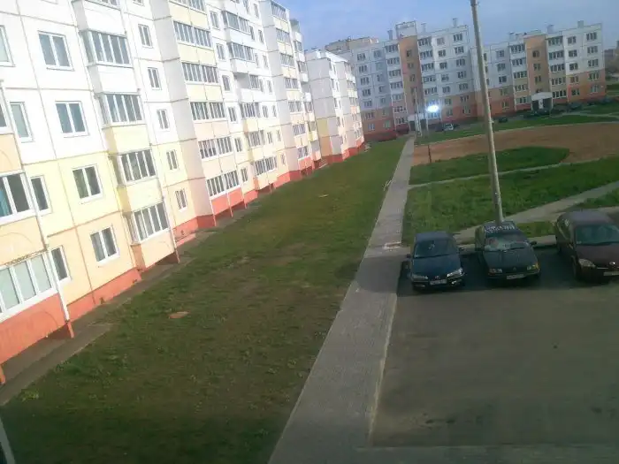 В Белоруссии на припаркованный автомобиль сбросили два кочана капусты