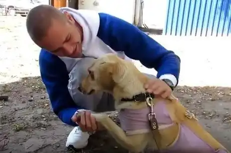 Они зарыли маму заживо