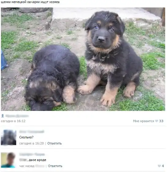 комментарии из социальных сетей.