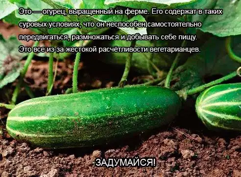 Разнообразная подборка =) Улыбок!