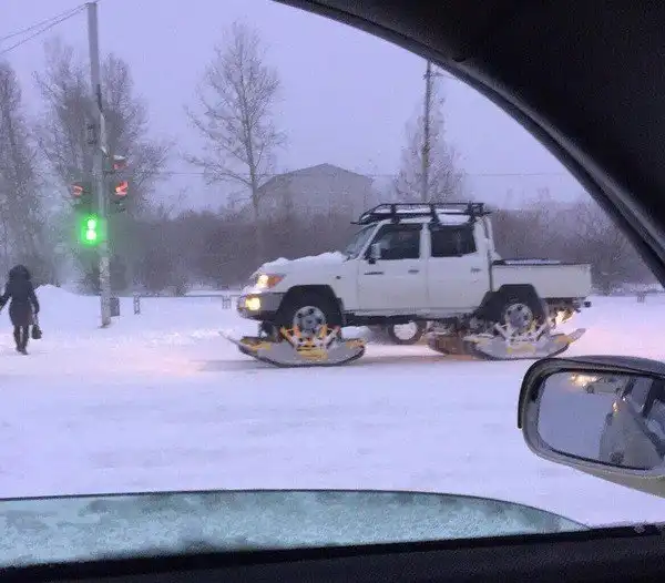 Они так готовились к зиме, что напугали ее