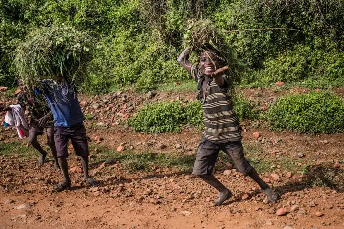 Нация попрошаек