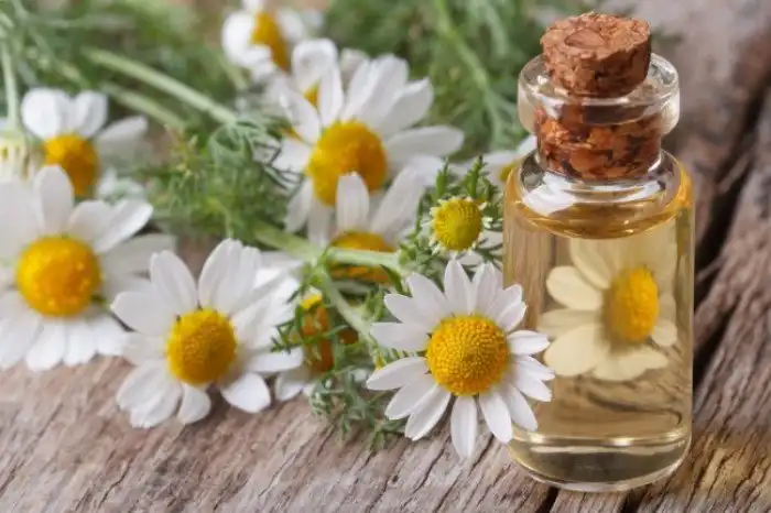 9 природных ароматов, способных изменить наше настроение