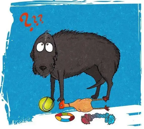 Мы взяли собаку из приюта. Личный опыт