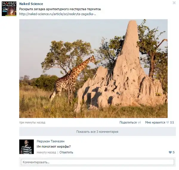 Смешные комментарии и высказывания из социальных сетей