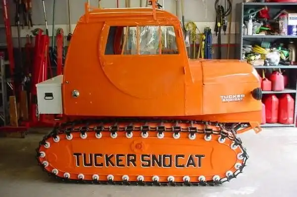 «Снежные коты» Такера.