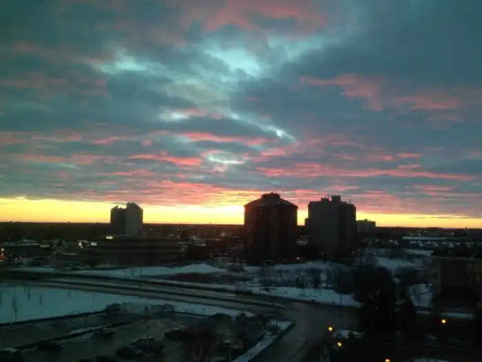 Один мой день в психиатрической клинике