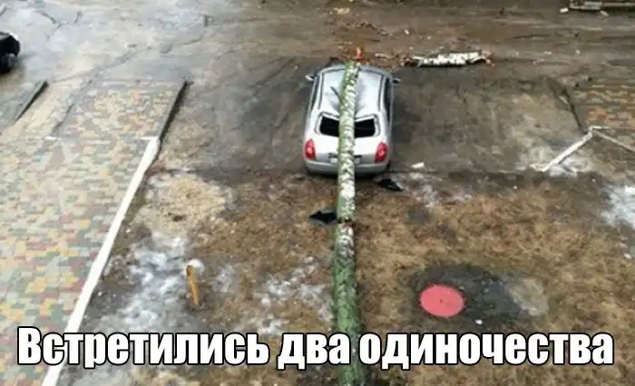 Прикольные картинки абавсём:D (19.02.16)