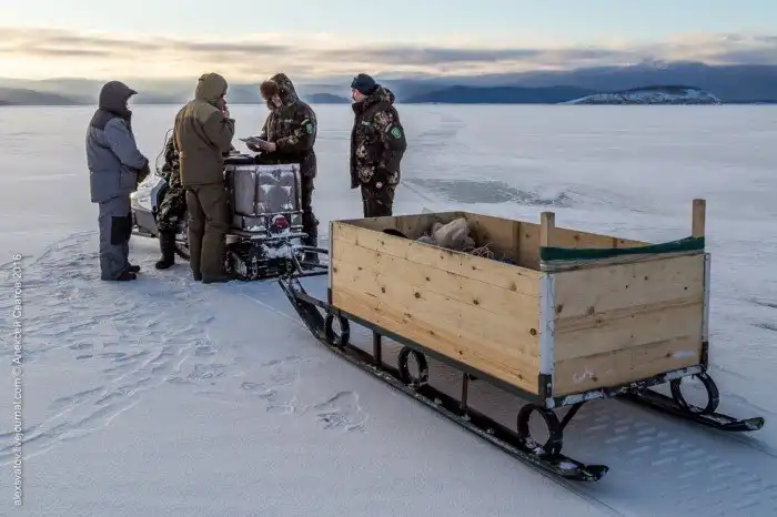 Как работают рыбинспекторы на Байкале