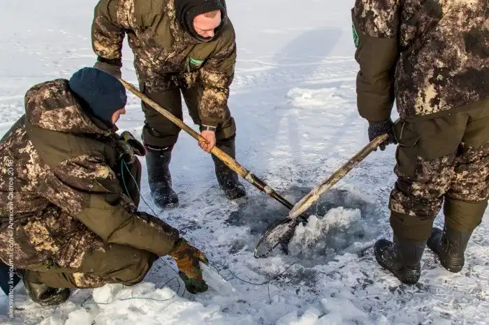 Как работают рыбинспекторы на Байкале
