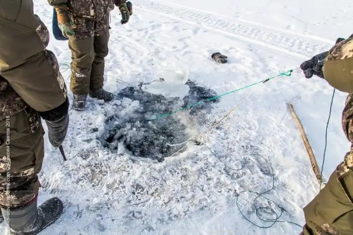 Как работают рыбинспекторы на Байкале