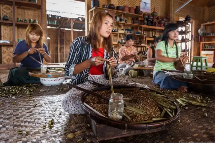 Огород на воде