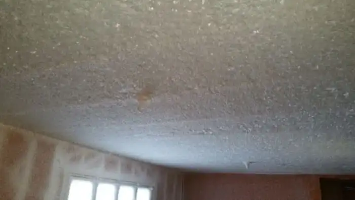 Из-за проблем с отоплением дом канадца превратился в ледяную избушку