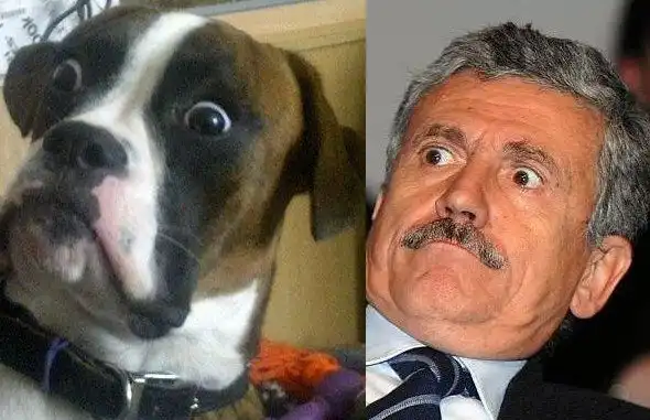 Ну, очень похожие животные и люди