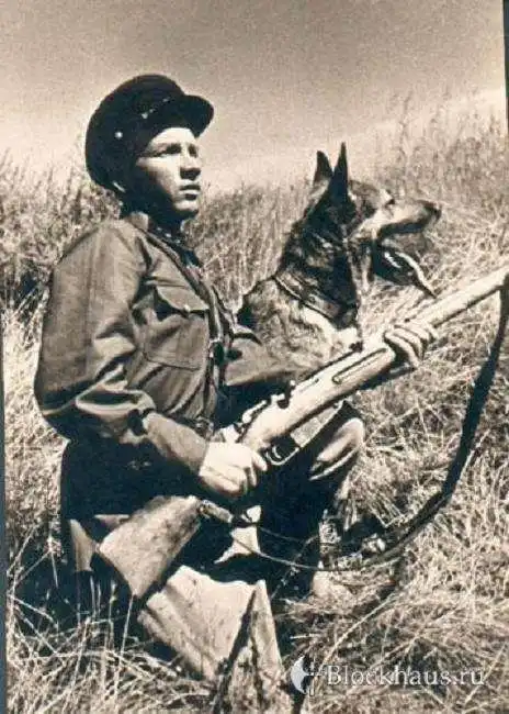 Последний бой "хвостатой роты".