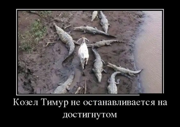 Демотиваторы (07.03.16)