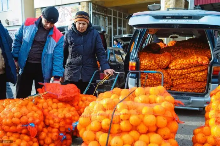 Сочи. Про красоту природы, лыжи и высокие скорости