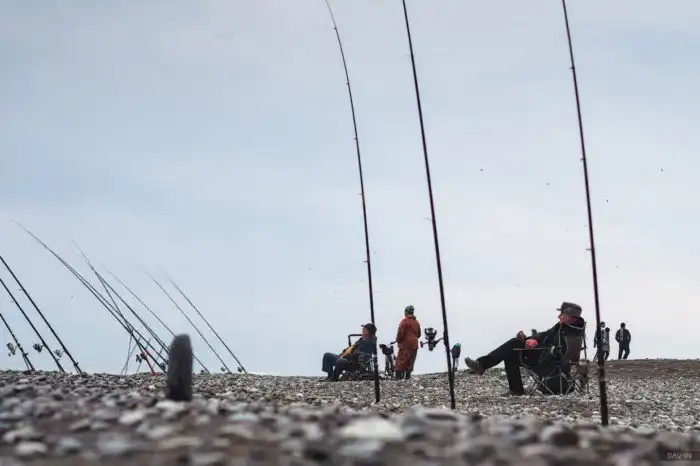 Сочи. Про красоту природы, лыжи и высокие скорости