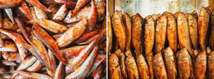 Сочи. Про красоту природы, лыжи и высокие скорости