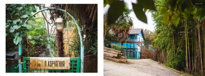 Сочи. Про красоту природы, лыжи и высокие скорости