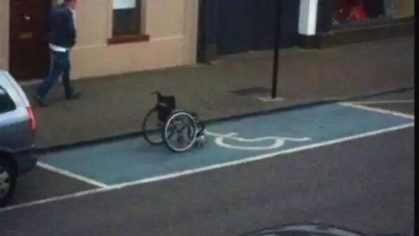 Хорошо припарковать можно не только автомобиль