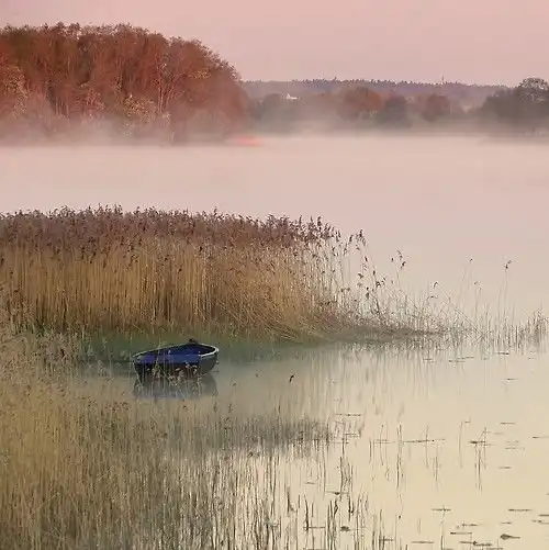 С Добрым утром!