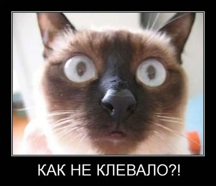 Демотиваторы (18.04.16)